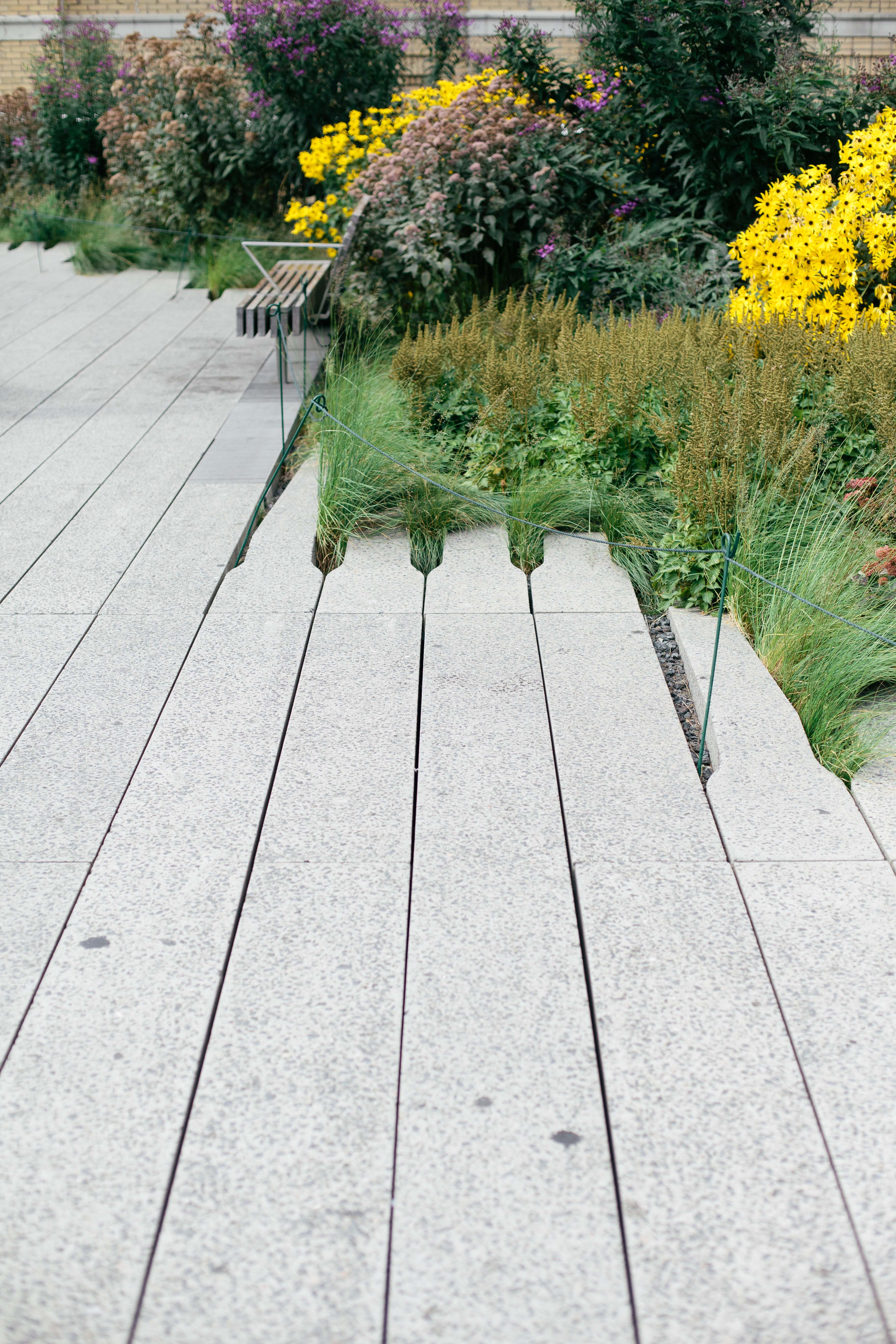 highline flowers landscape new york city garden chelsea park bench railroad tracks design gardening planting flower bed